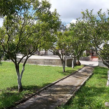 B&B I 4 Venti Sassari Kültér fotó