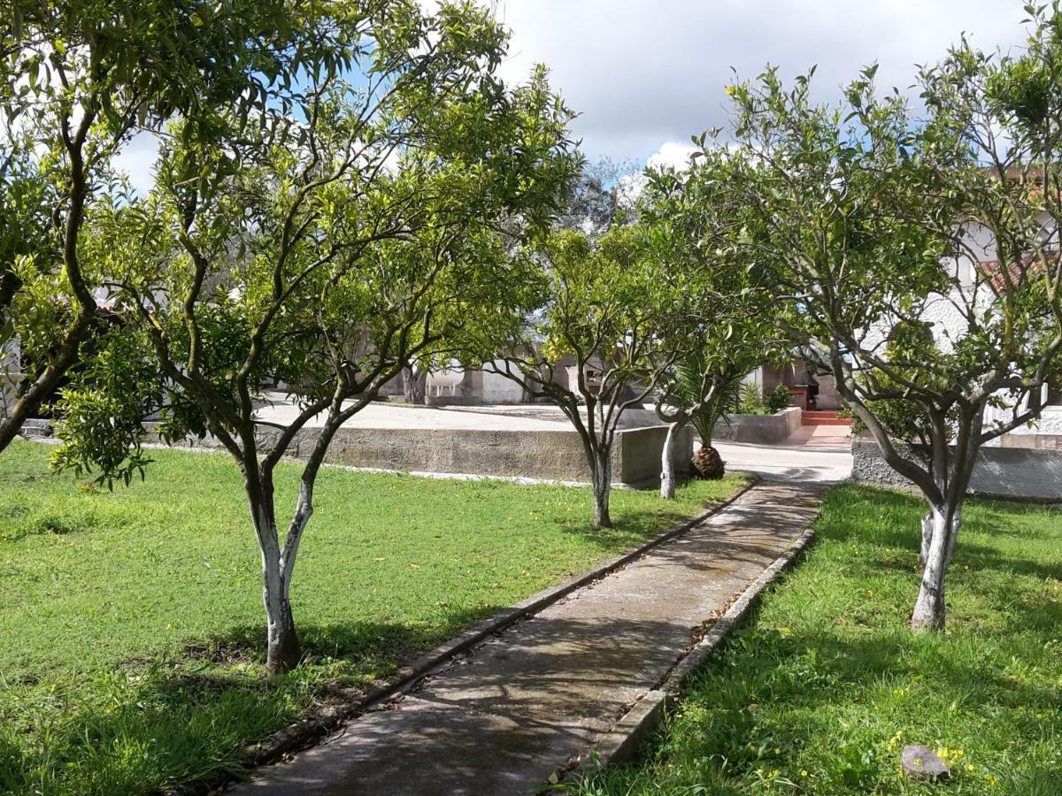 B&B I 4 Venti Sassari Kültér fotó