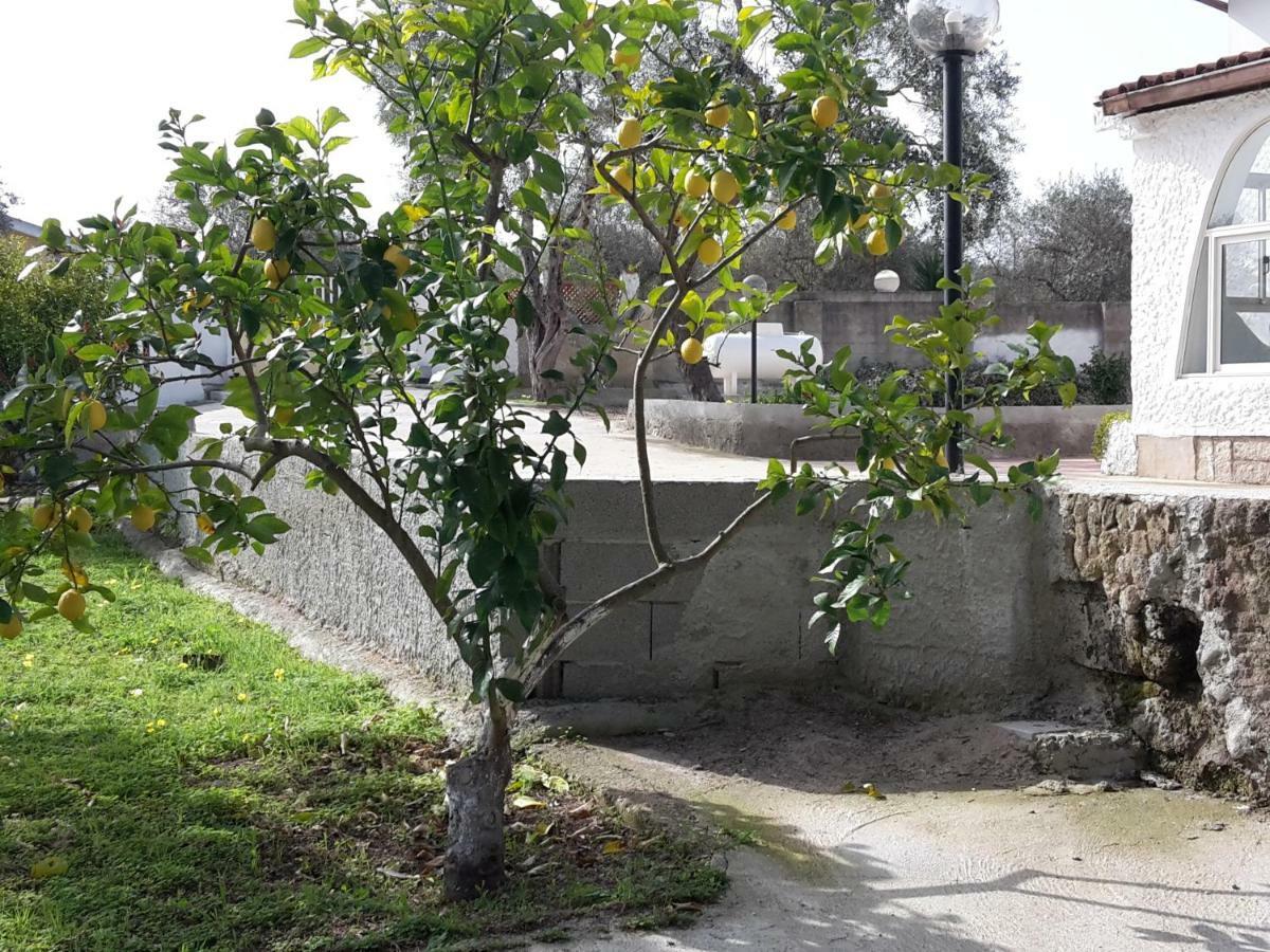 B&B I 4 Venti Sassari Kültér fotó