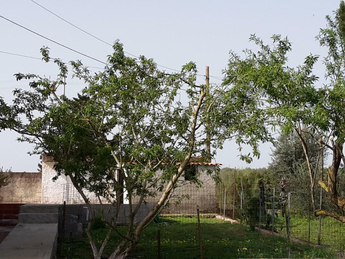 B&B I 4 Venti Sassari Kültér fotó